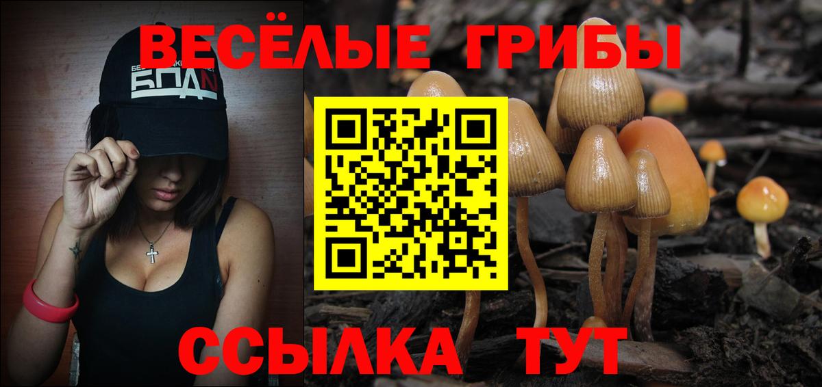 Волоколамск  Галлюциногенные грибы GOLDEN TEACHER  Вход с VPN 