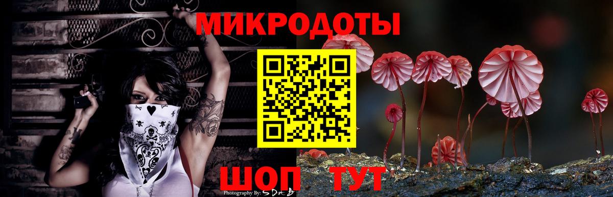 Галлюциногенные грибы прущие грибы Волоколамск